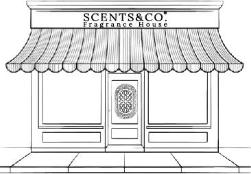 Nos services